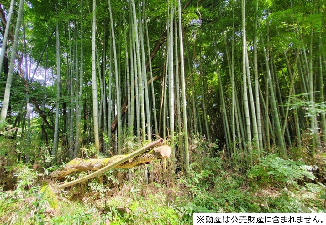 画像詳細｜公売情報