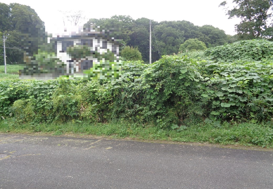 画像詳細｜公売情報