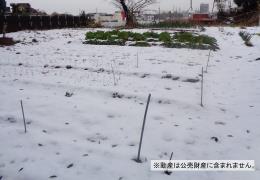 物件_252-7の写真1
