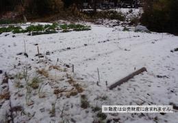 物件_252-7の写真2