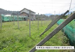 物件_3679-1の写真1