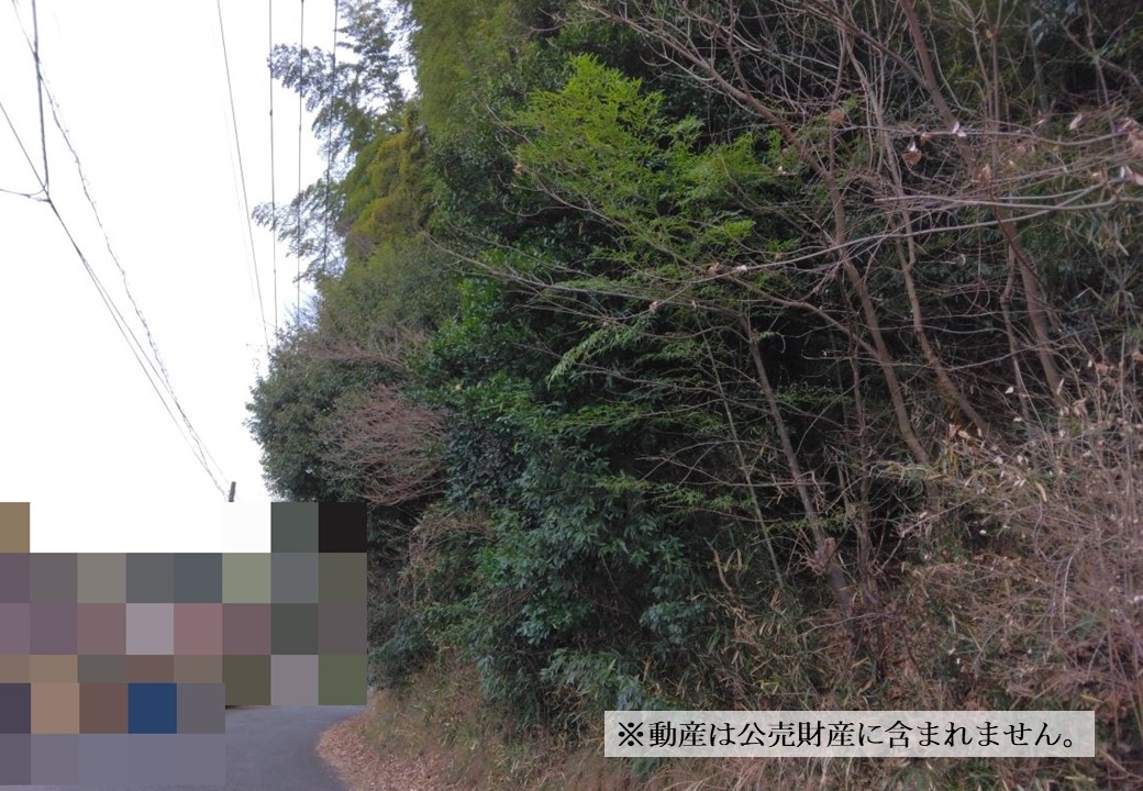 物件_1151-7の写真