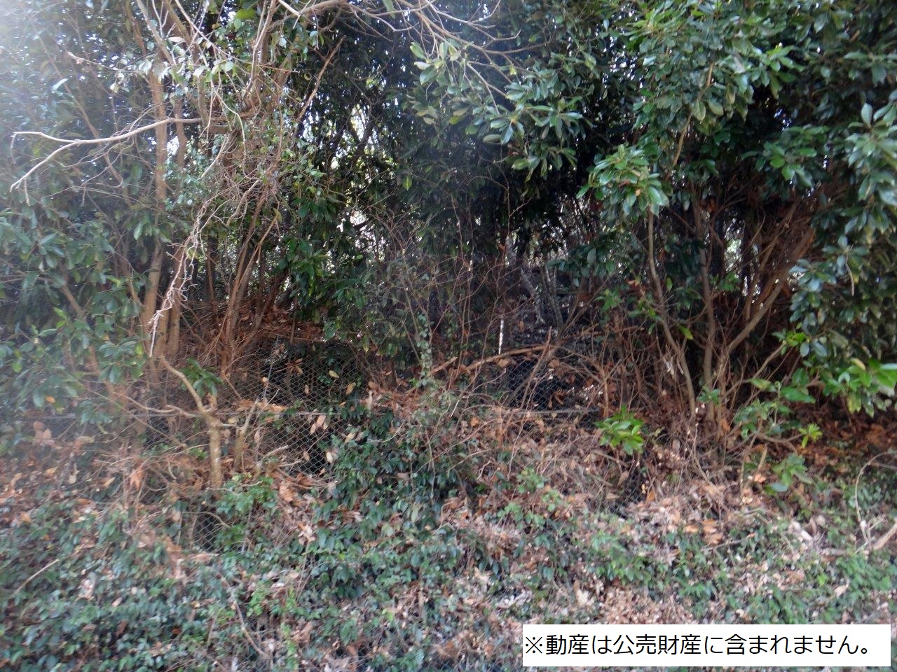 物件_3807-1の写真