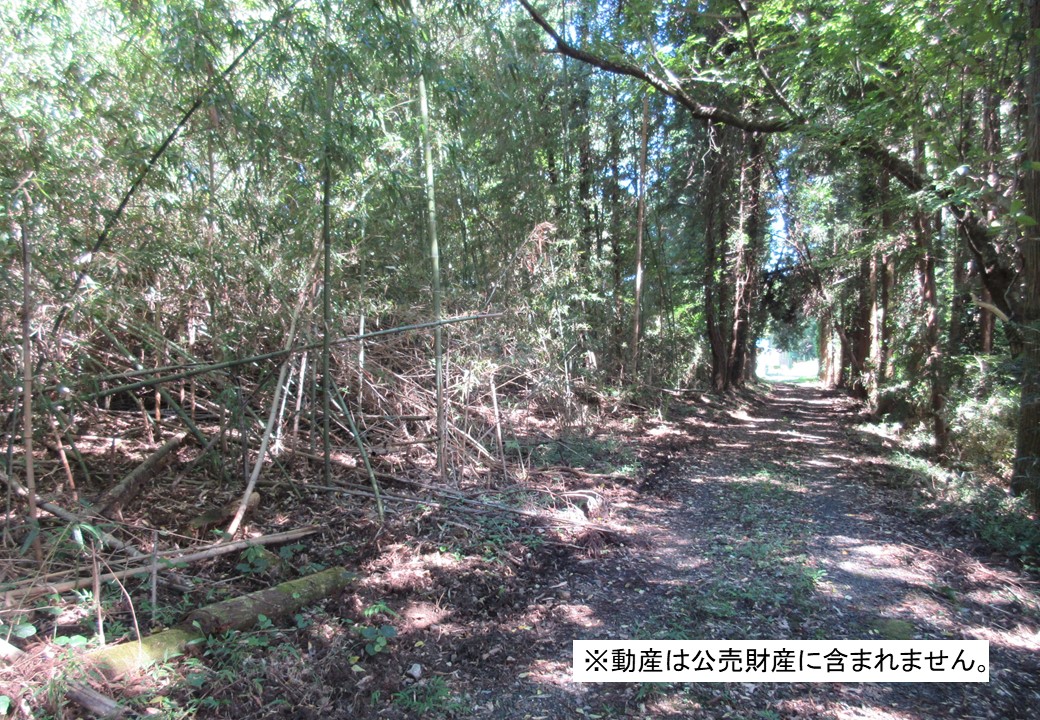 物件_3643-2の写真