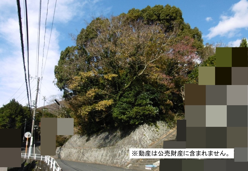 物件_3778-1の写真
