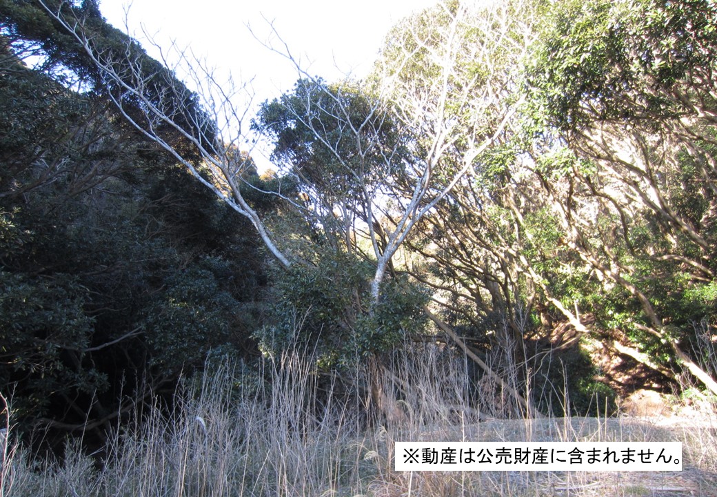 物件_3479-45の写真