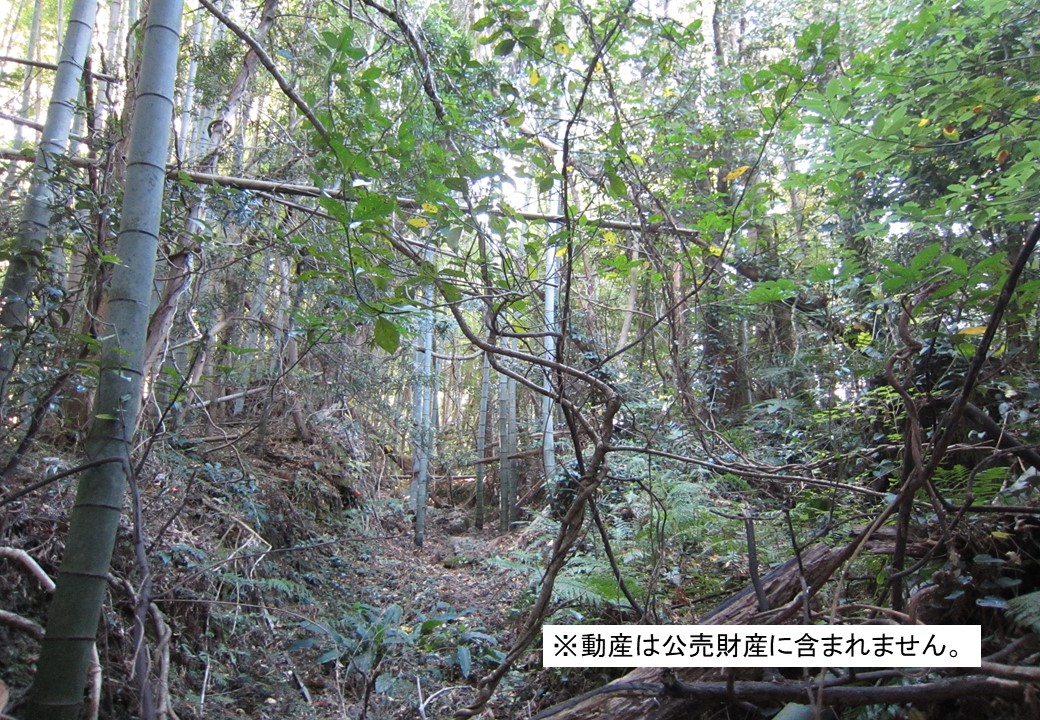 物件_3769-9の写真