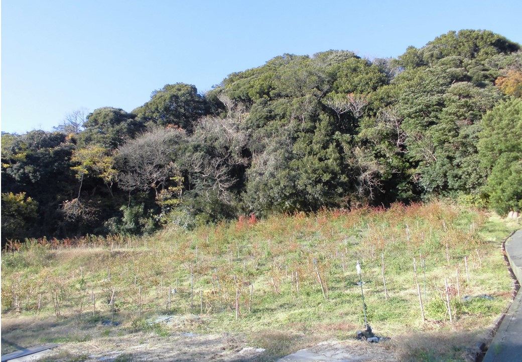 物件_1895-9の写真