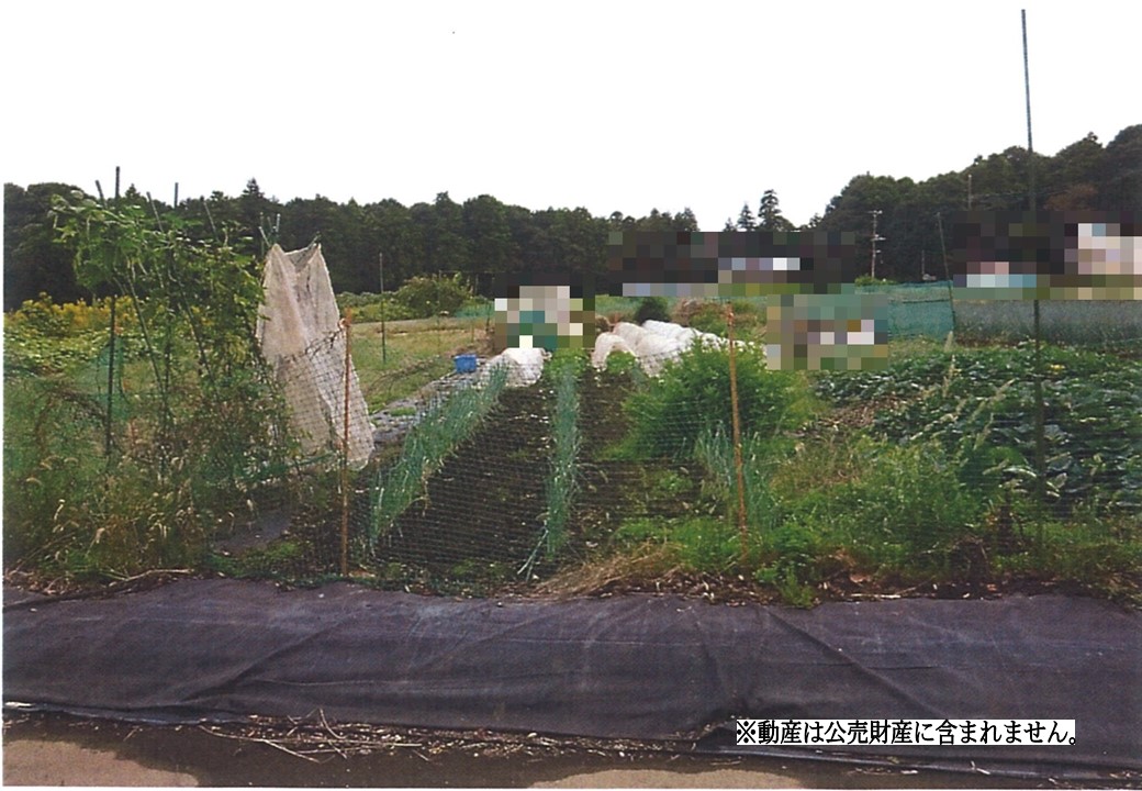 物件_3319-5の写真