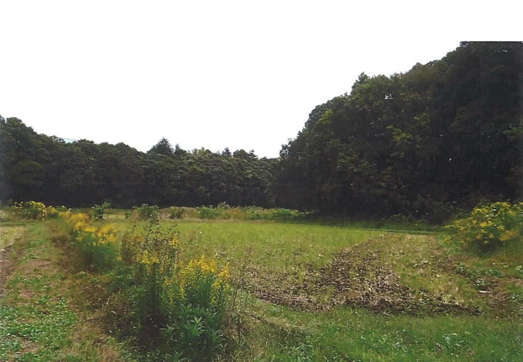 物件_3319-6の写真