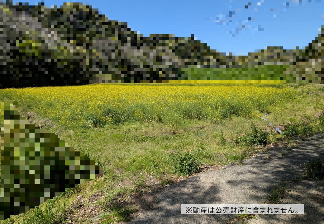 物件_3842-1の写真