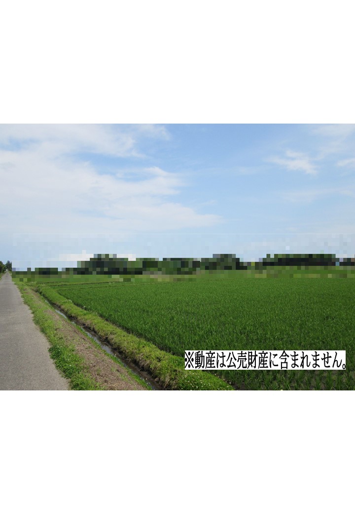 物件_2698-2の写真