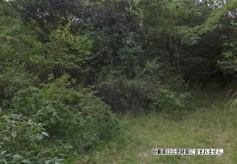 千葉県勝浦市 土地宝典 5冊 千葉県勝浦市 土地宝典 5冊 千葉県勝浦市