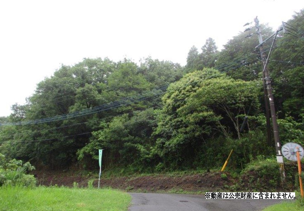 物件_3612-9の写真