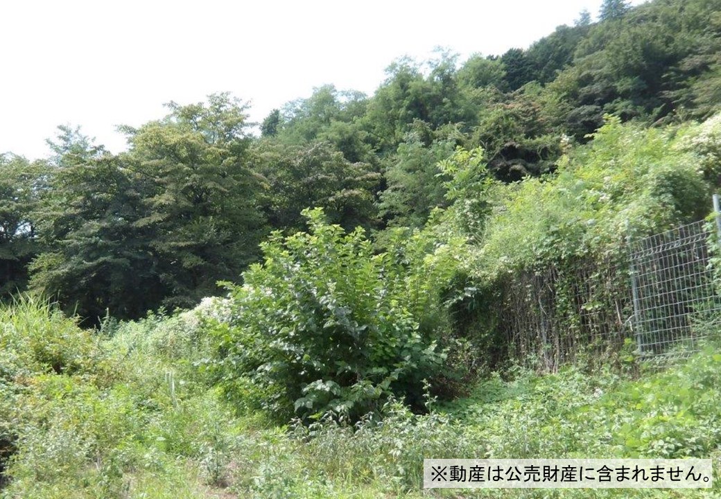 物件_3612-10の写真