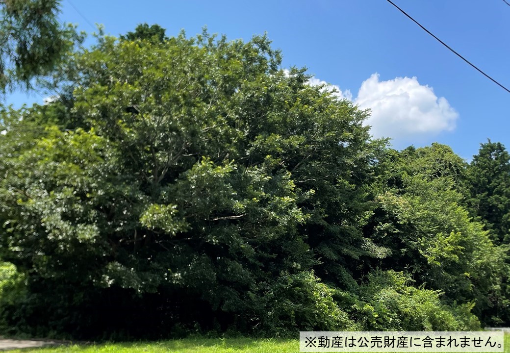 物件_3807-5の写真