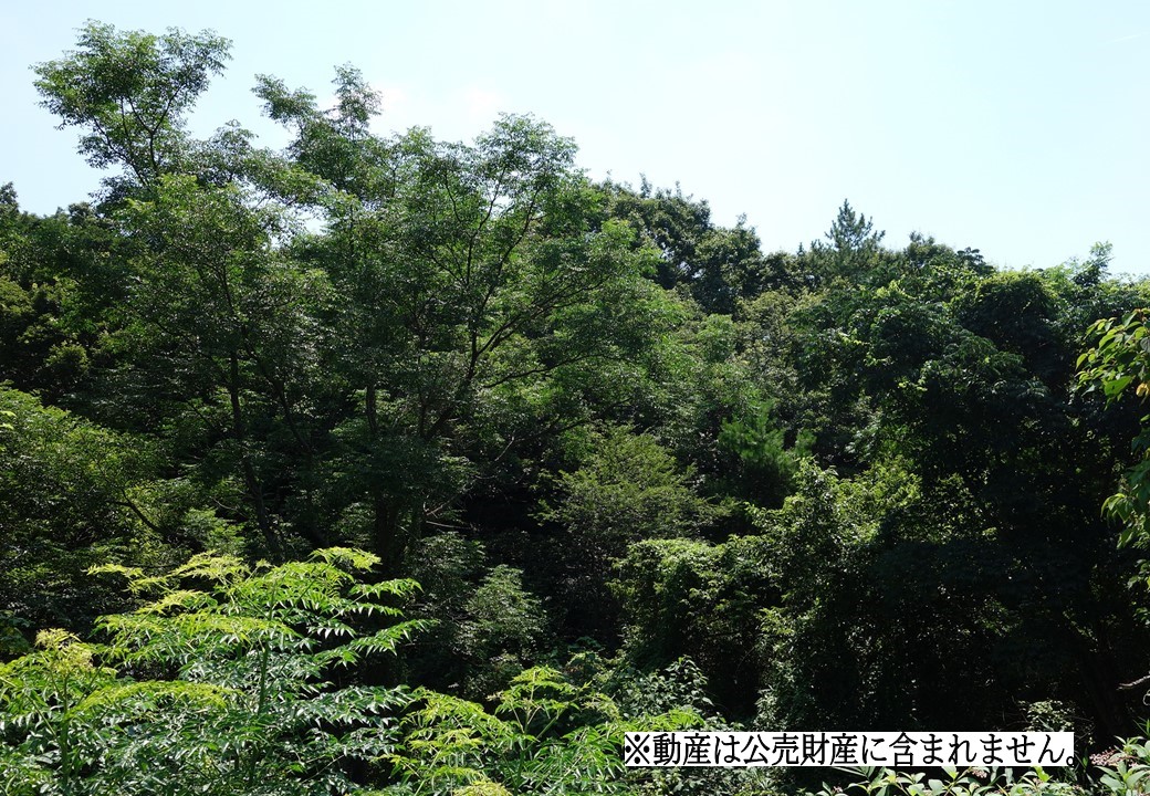 物件_3807-6の写真