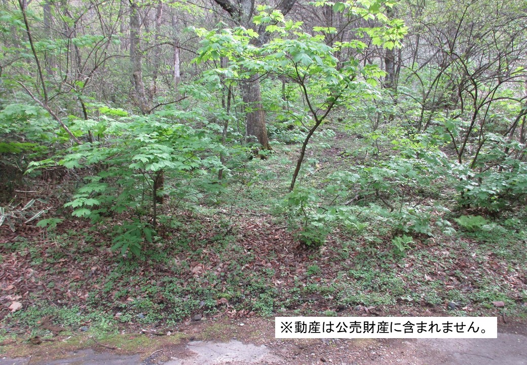 物件_3903-1の写真