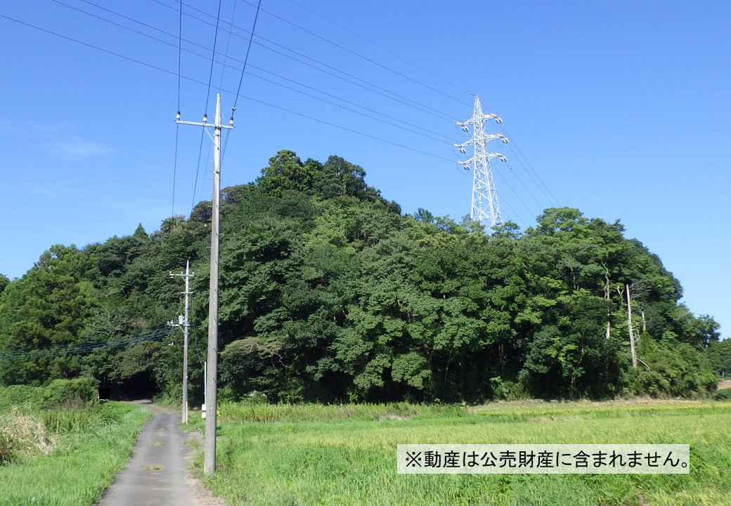 物件_3927-1の写真