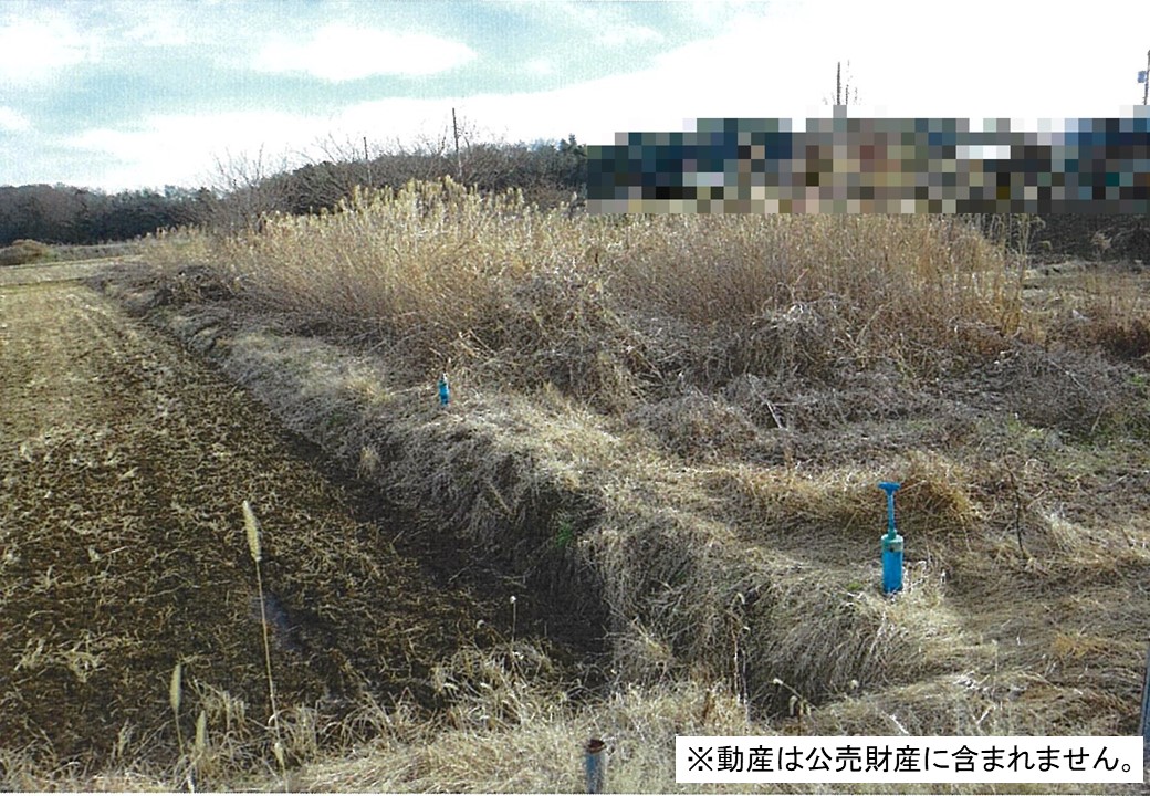 物件_674-4の写真