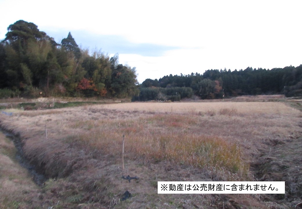 物件_931-6の写真