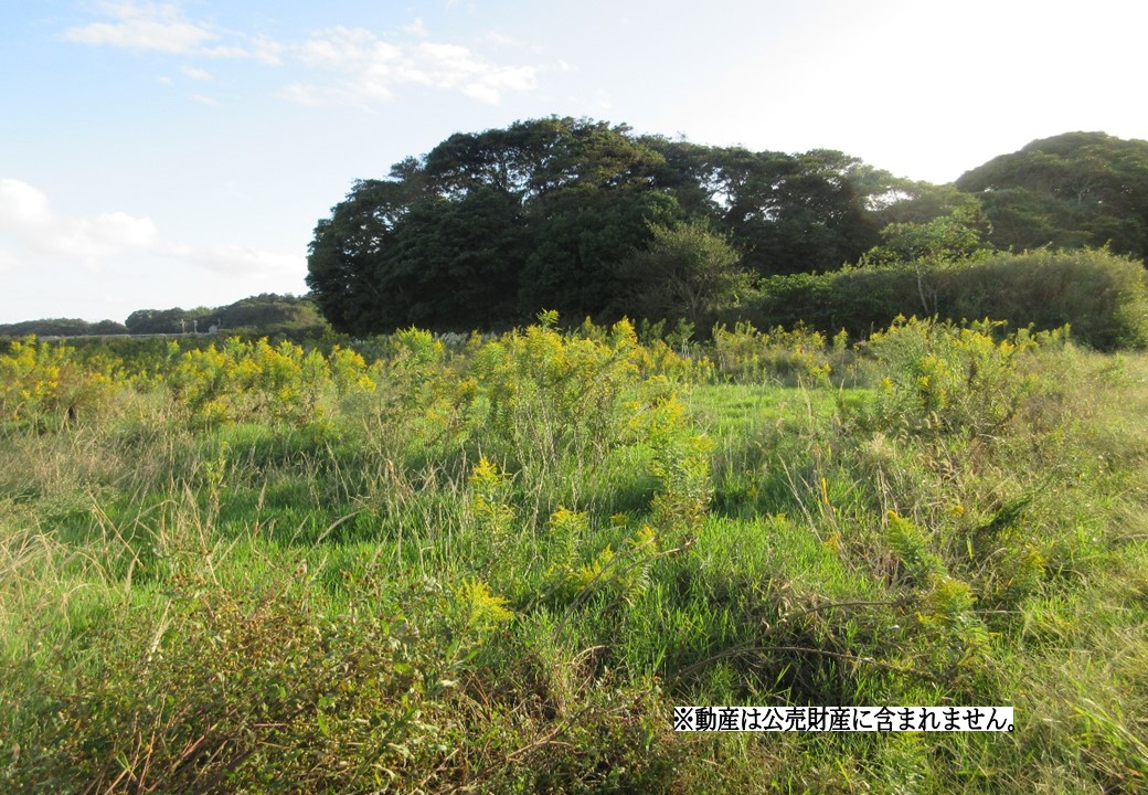 物件_3662-10の写真