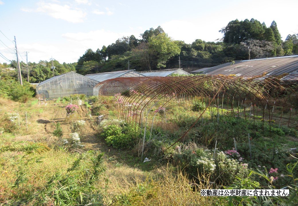 物件_3698-2の写真