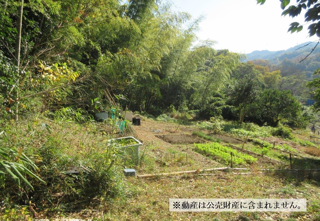 物件_3726-18の写真