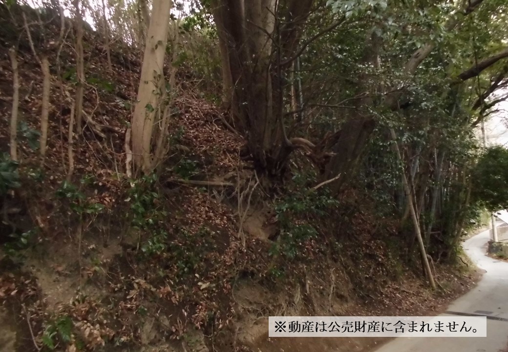 物件_3726-21の写真