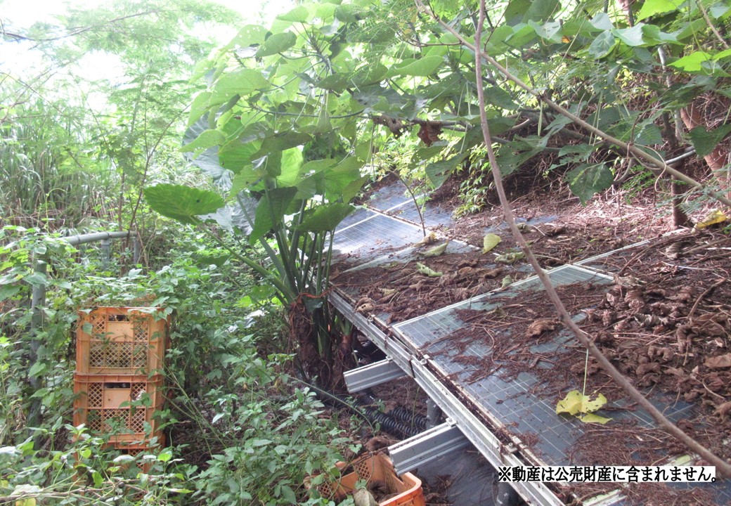 物件_3612-15の写真