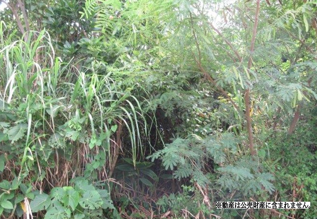 物件_3612-21の写真