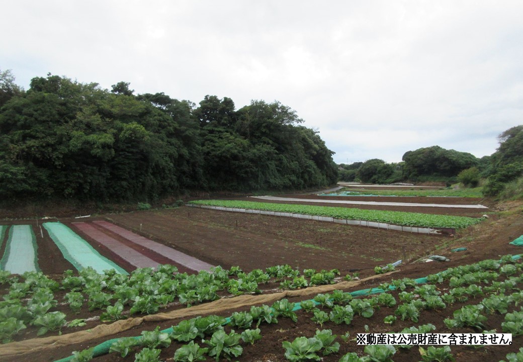物件_1712-3の写真