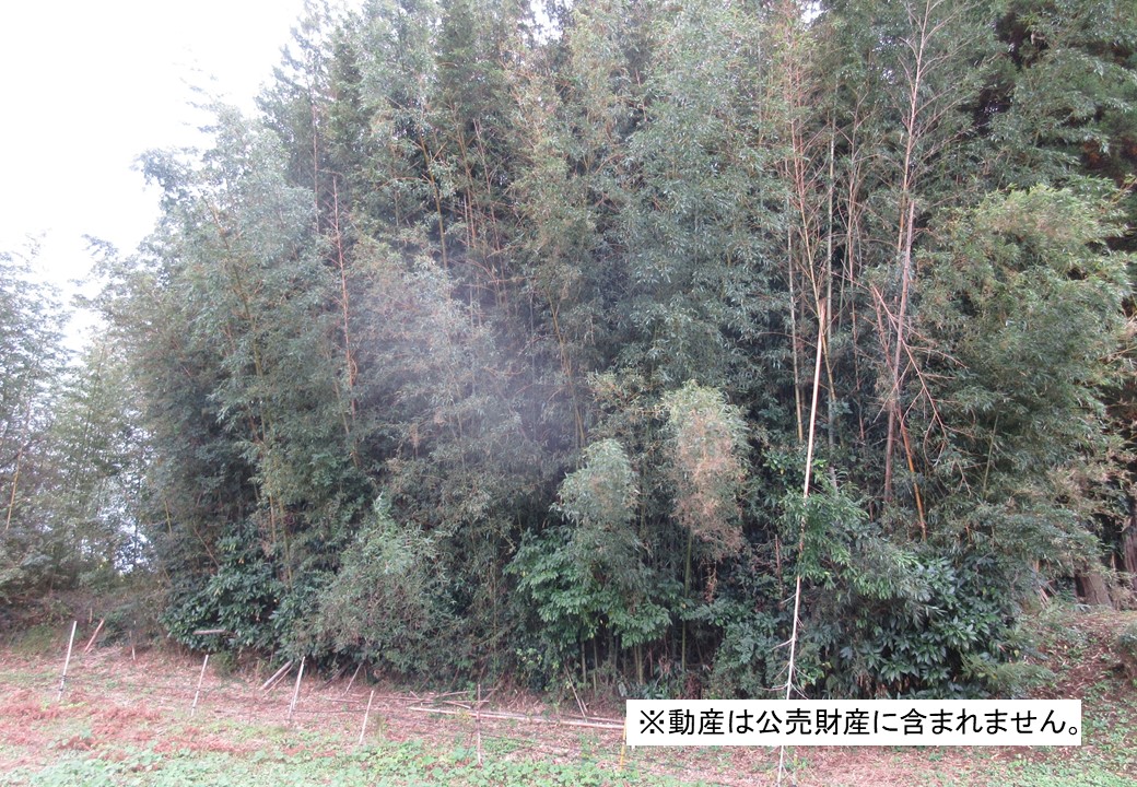 物件_3404-3の写真