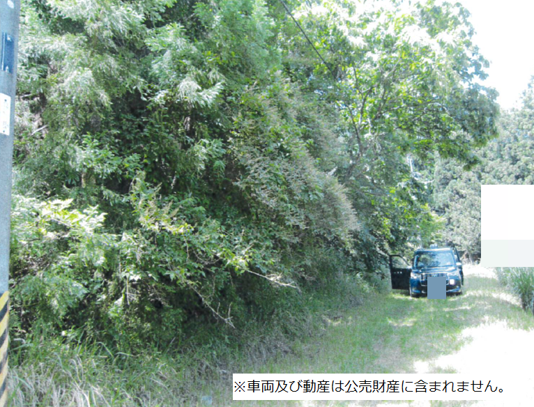 物件_3807-2の写真