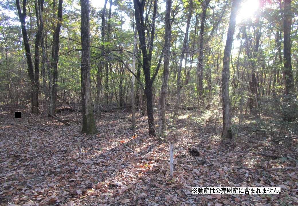 物件_3752-1の写真