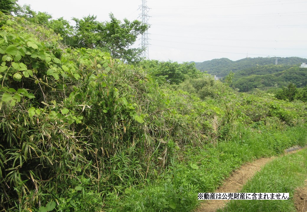 物件_3843-1の写真