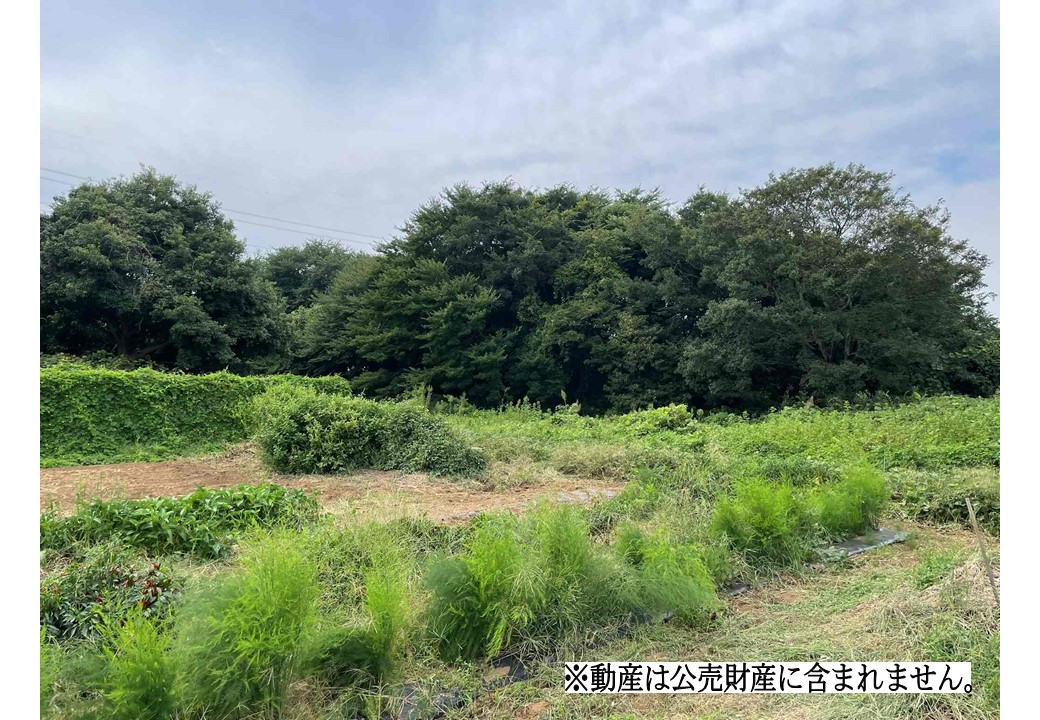 物件_3980-1の写真