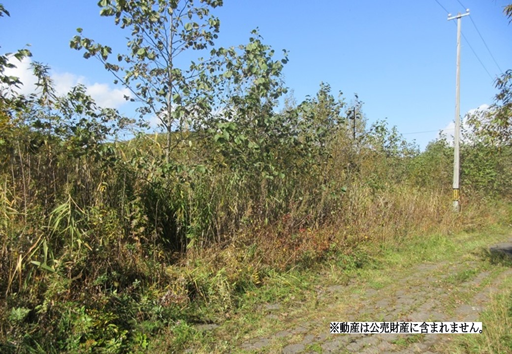 物件_3654-3の写真