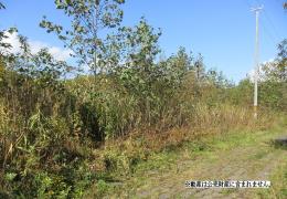 物件_3654-3の写真1