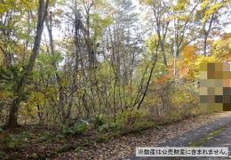 物件_3993-1の写真1