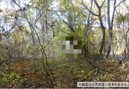 物件_3993-1の写真2