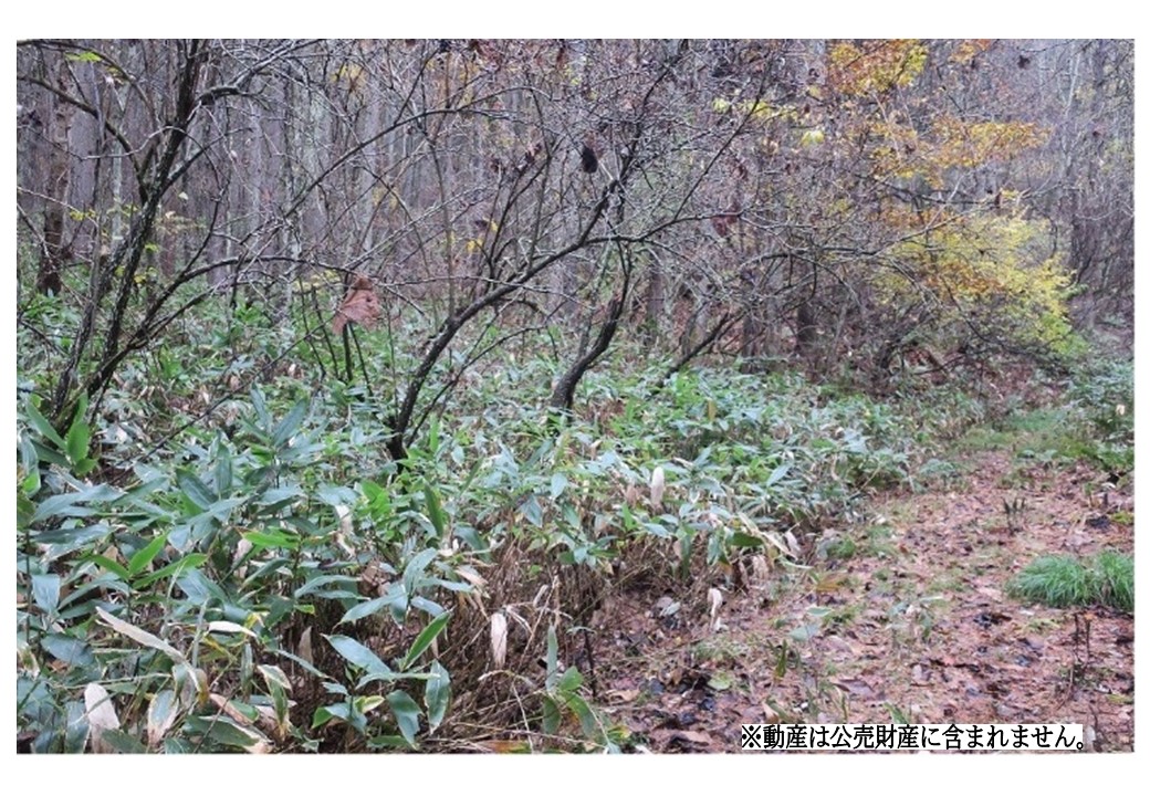 物件_3736-2の写真