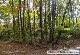 物件_3917-3の写真1