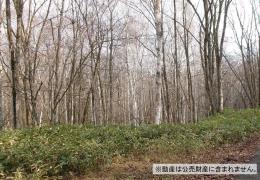 物件_3986-1の写真1