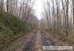 物件_3986-1の写真2