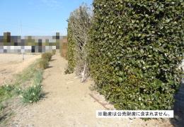 物件_3528-1の写真2