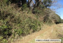 物件_4018-1の写真2
