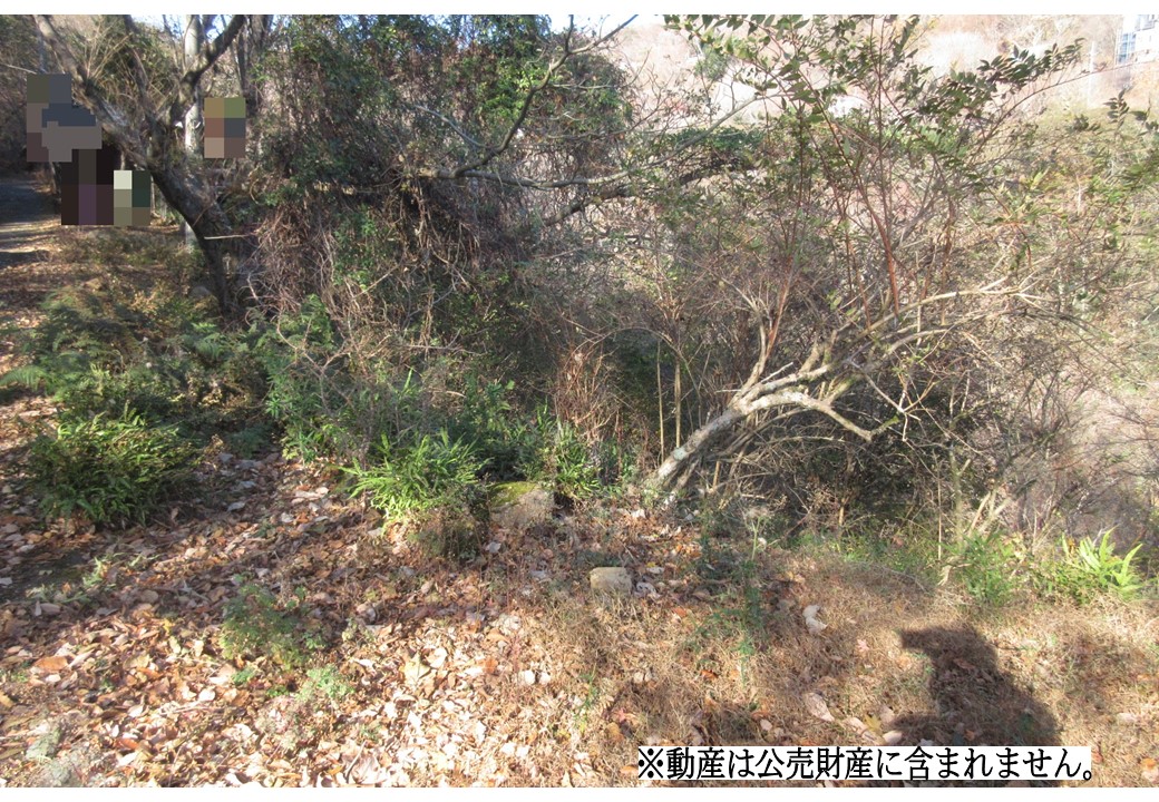 物件_3566-3の写真