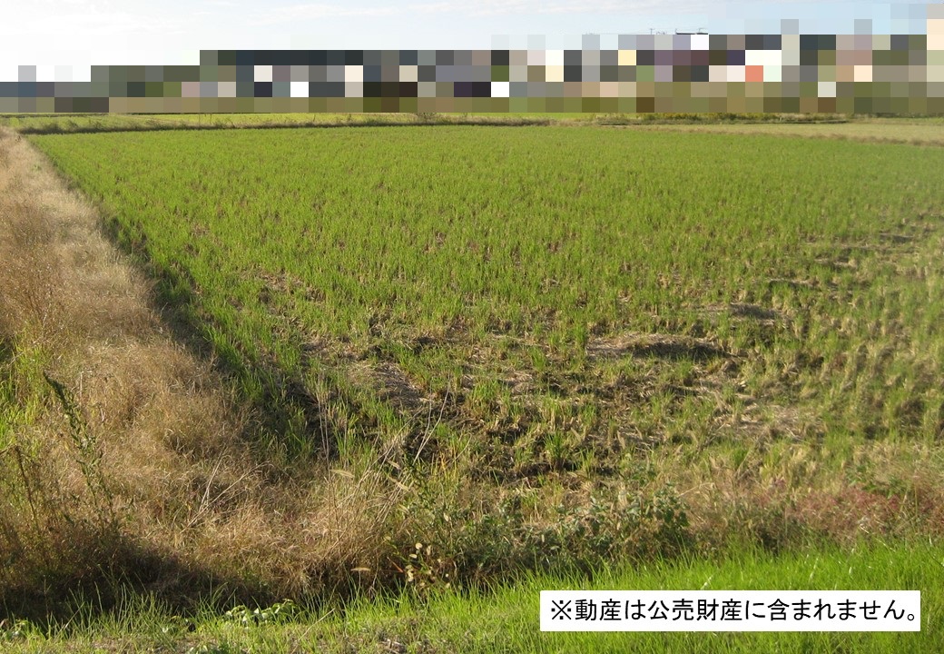 物件_3739-2の写真