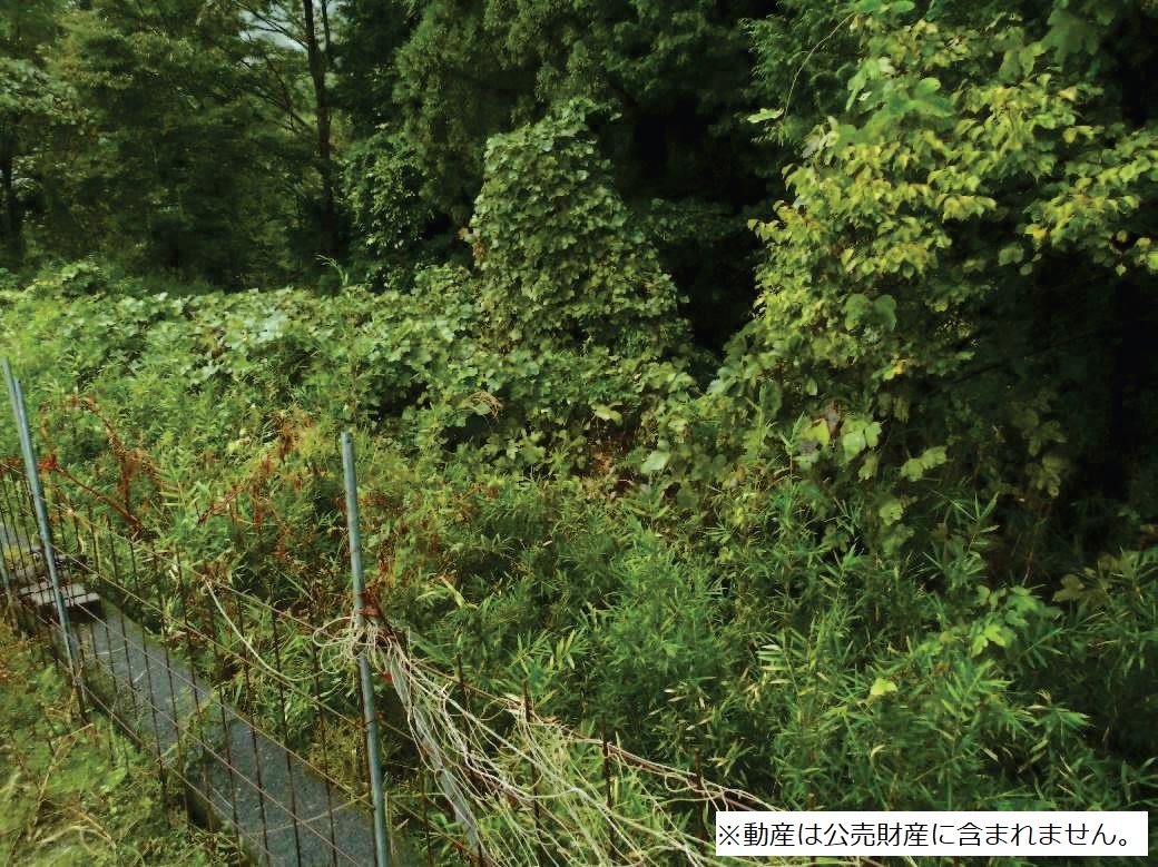 物件_3719-2の写真